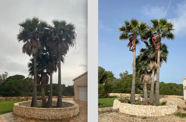 La Finca