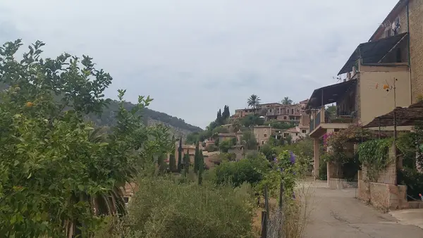 Jordi Vallcorba Guinda The Village Cafe