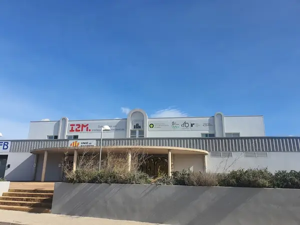 D.O.P Oliva de Mallorca Olivares