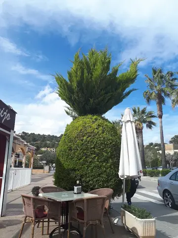 Café del Sol