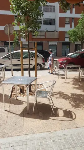 La Palmera
