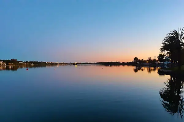 Paula Lago