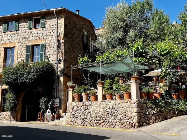 Xelini
