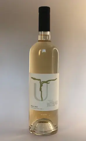 Elisa Roldan Sa Bodega