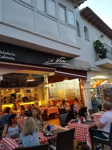 Il Vivo