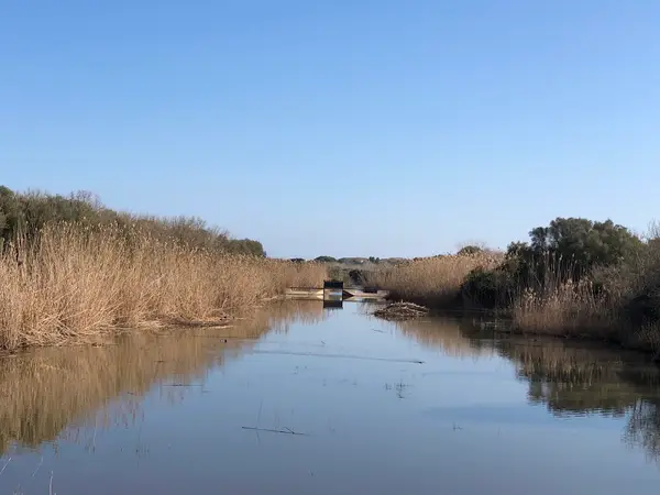 S'Albufera