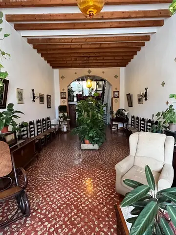 Can Marió
