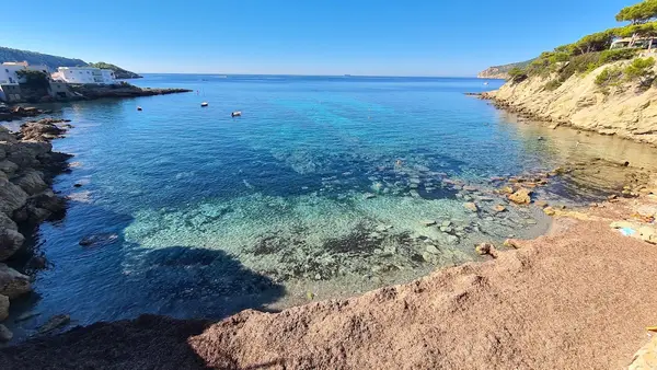 Algar