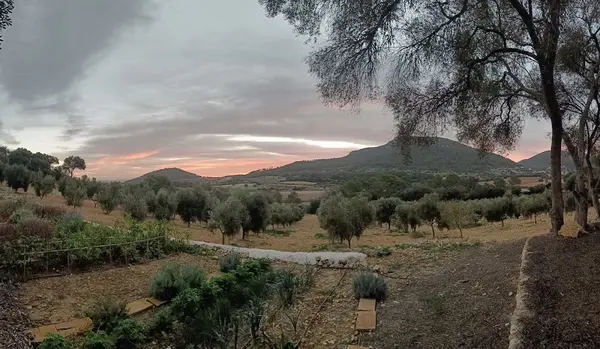 Qanat de Treurer