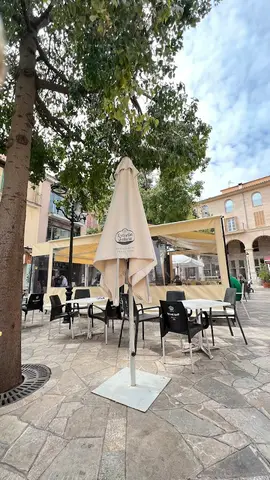 Centaurea_cyanus Sa Plaça