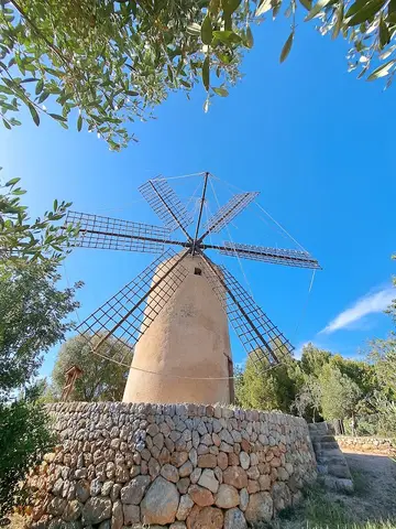Sa Milanita