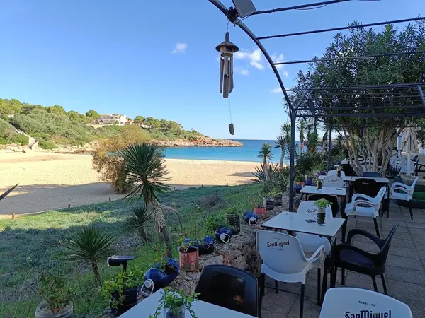 Organic, Restaurant Ecológico, Portocolom, Mallorca Restaurant Organic