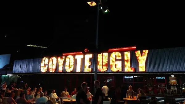 Coyote Ugly