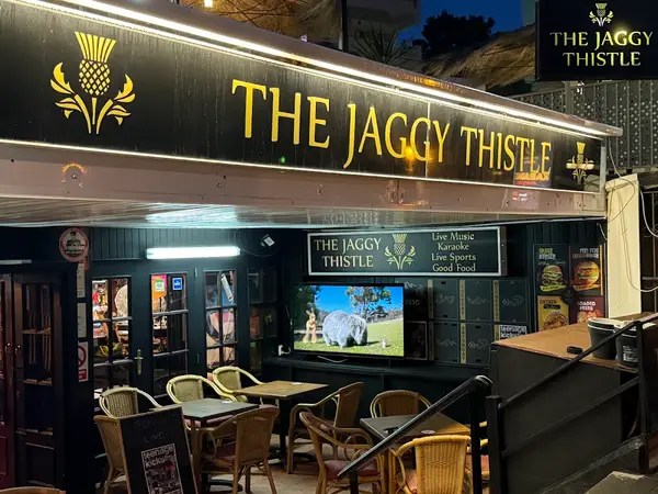 The Jaggy Thistle