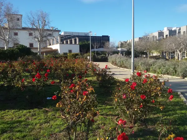 Cobapec peritos Es Secar