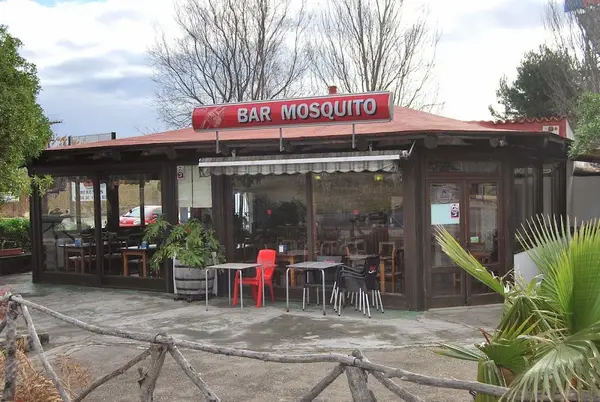 Bar Mosquito