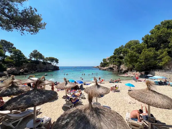 Freddy´s Beach Bar & Restaurant