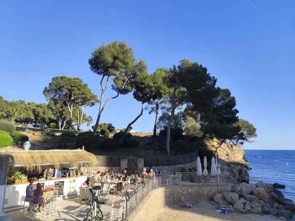 Freddy´s Beach Bar & Restaurant