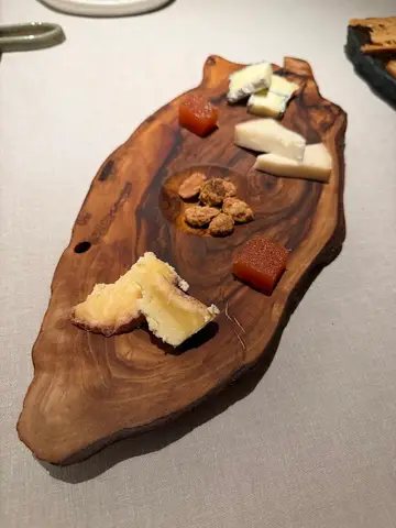 Fusión 19